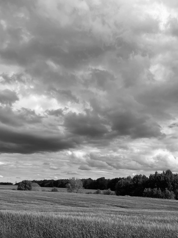 Фотография автора Ирина Мосько