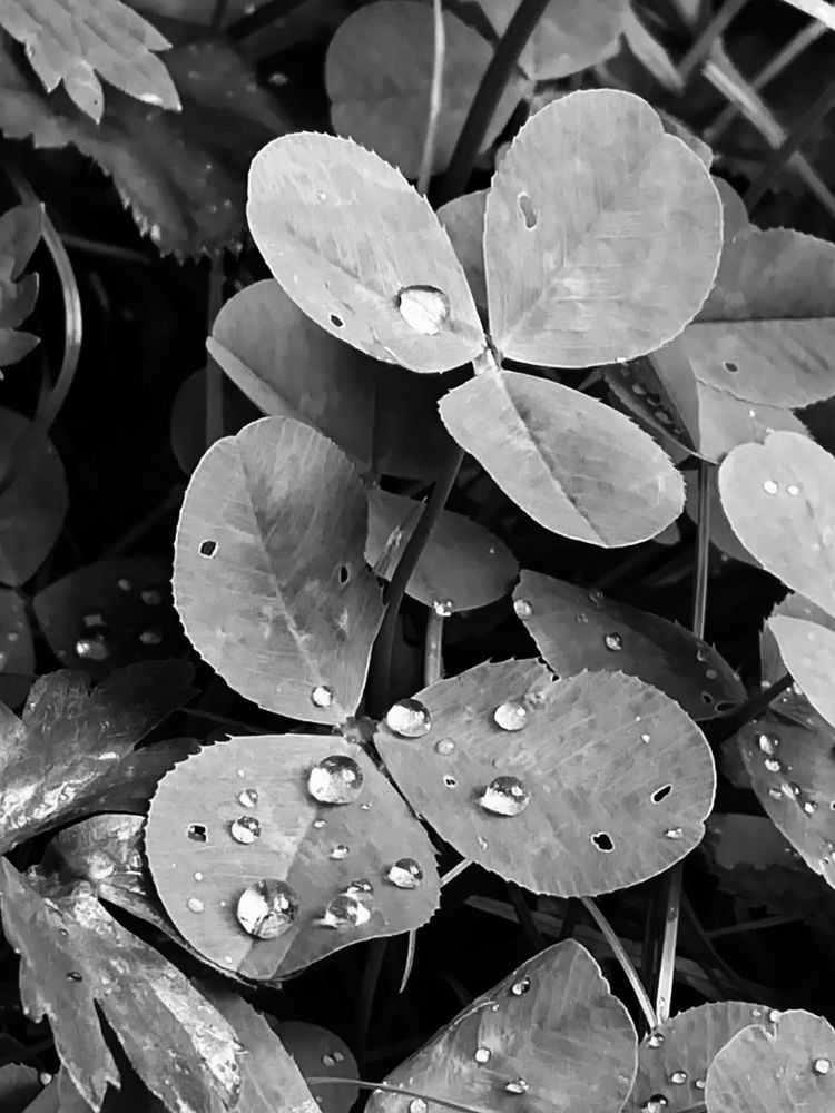 Photograph by Денис Ашуров