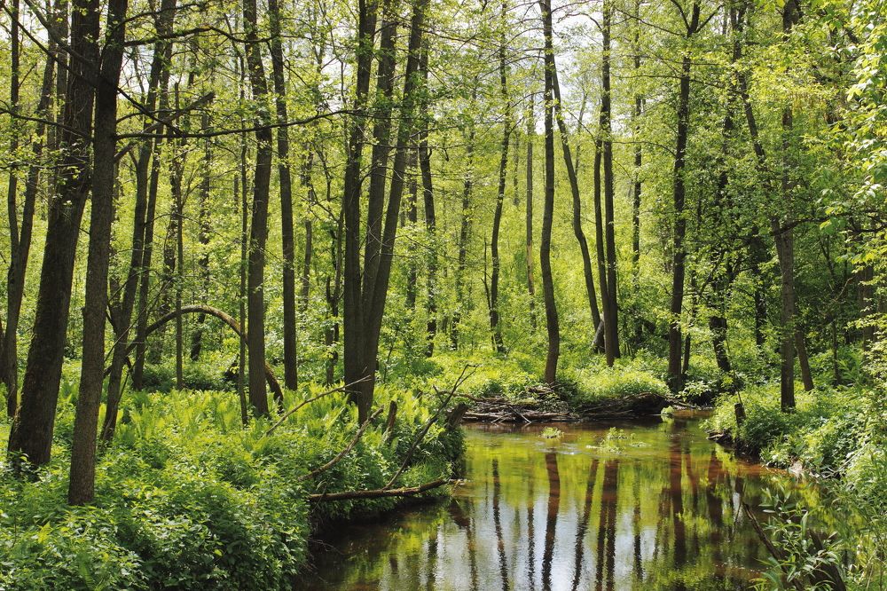 Photograph by Денис Ашуров