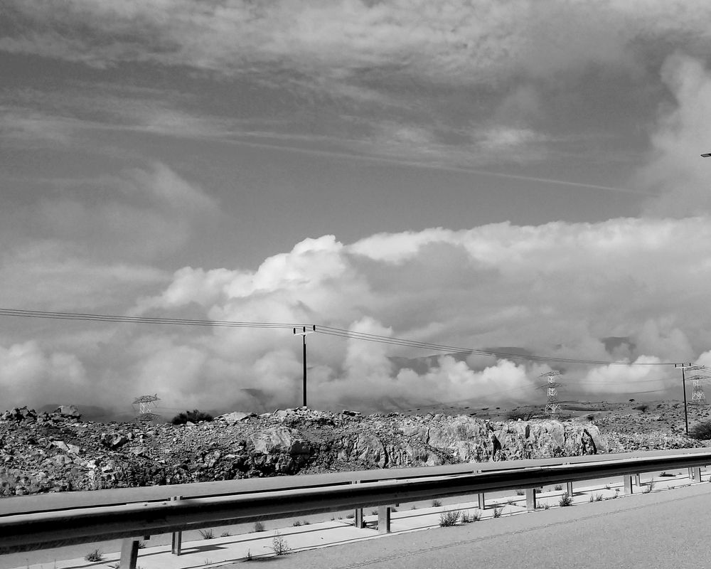 Photo #7792529