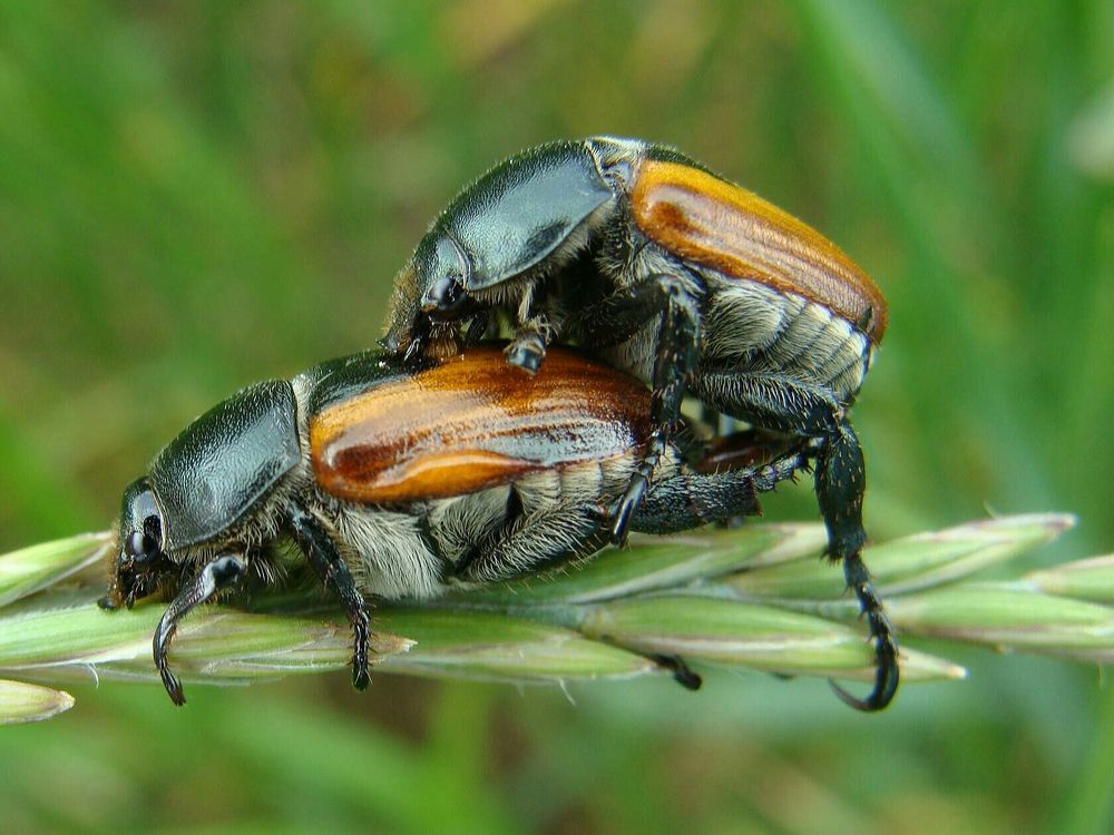 Фотография автора Павел Попов