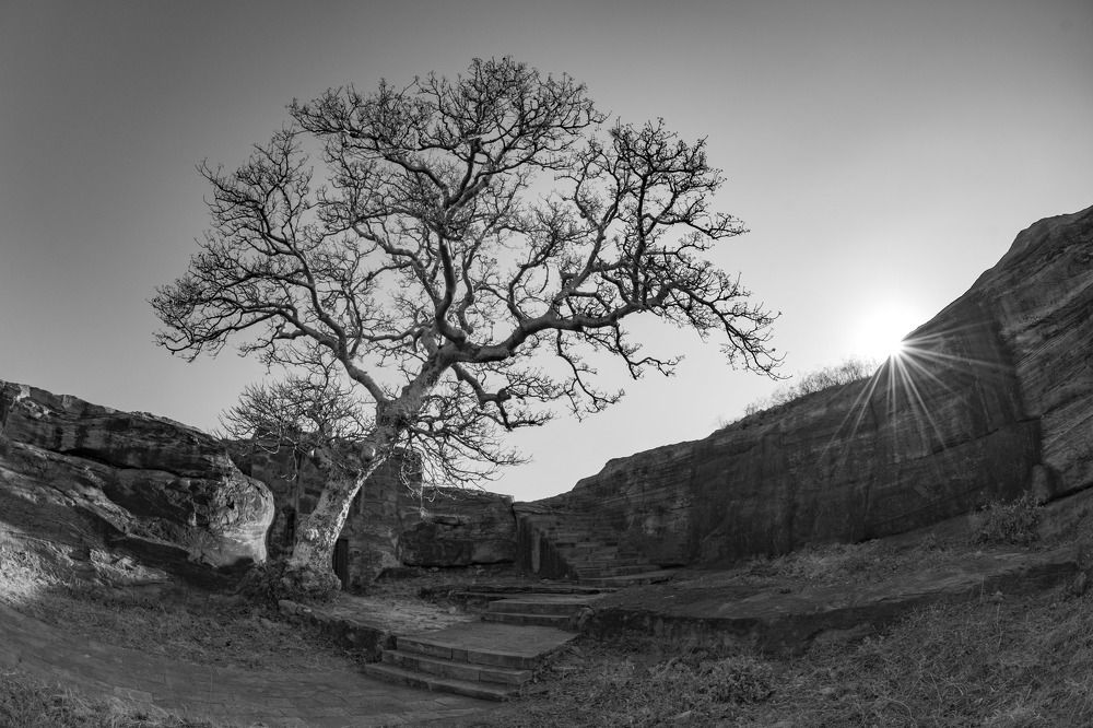 Photograph by Ranjith Kumar