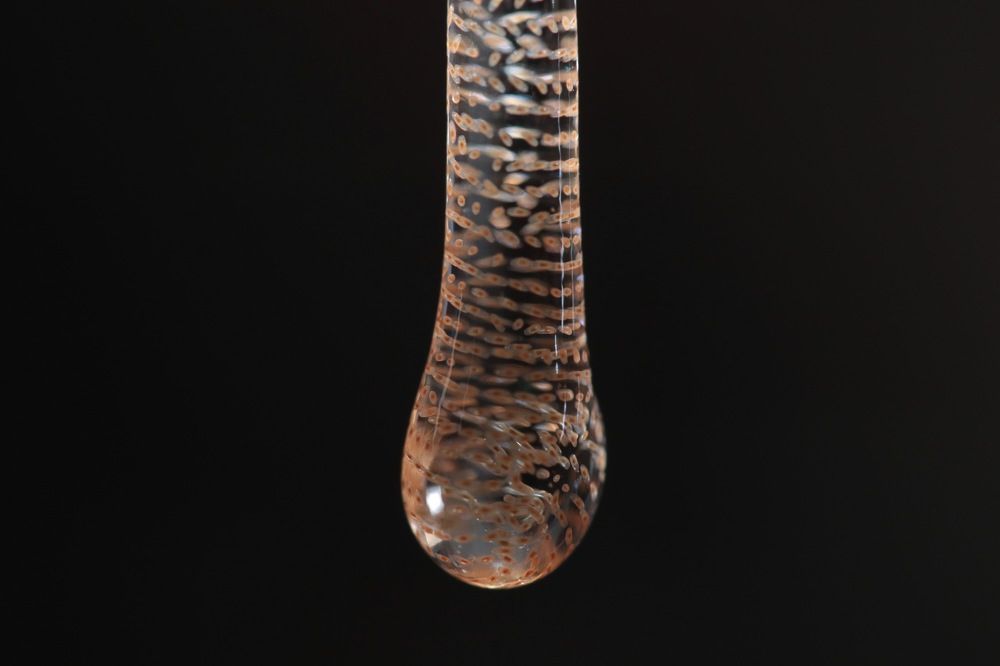 Photograph by José Granizo