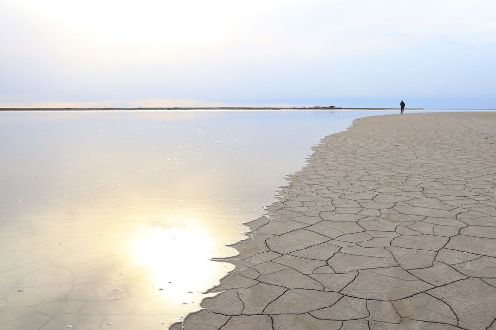 Фотография автора Елена Колосова
