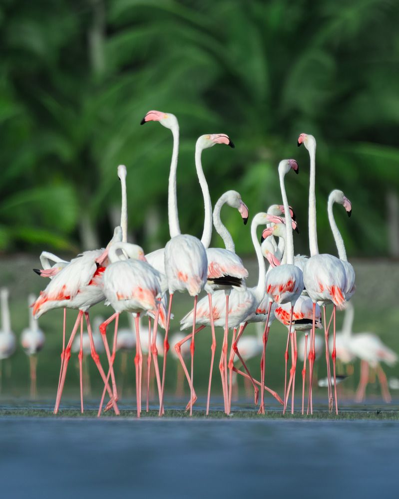 Photograph by Mohamed Raseem