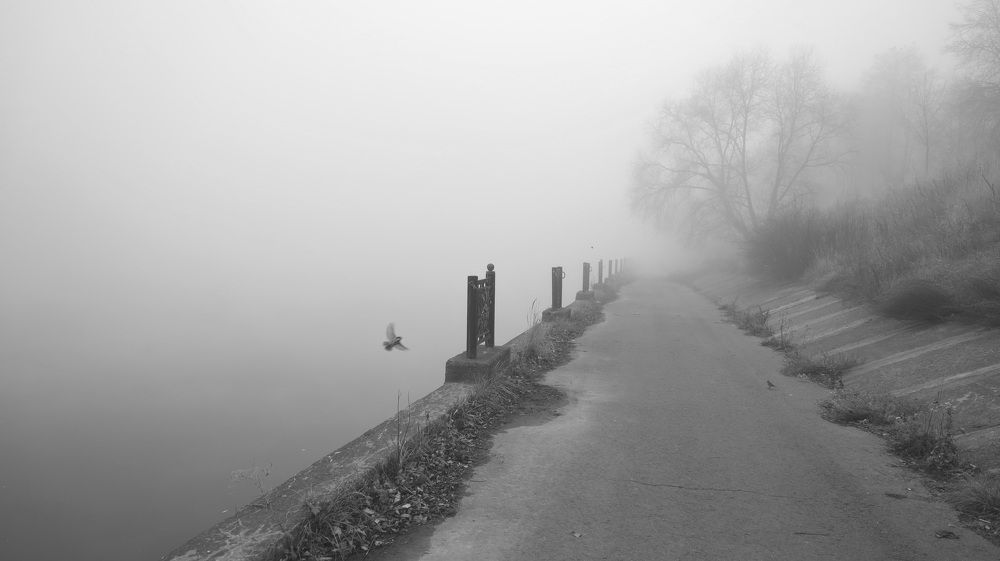 Фотография автора Елена Колосова