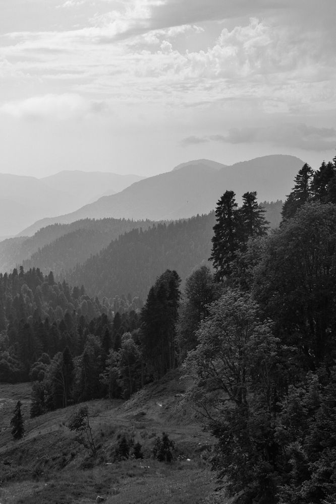 Photograph by Арина Беззубцева