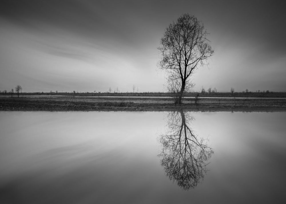 Photograph by Arash Arjangi