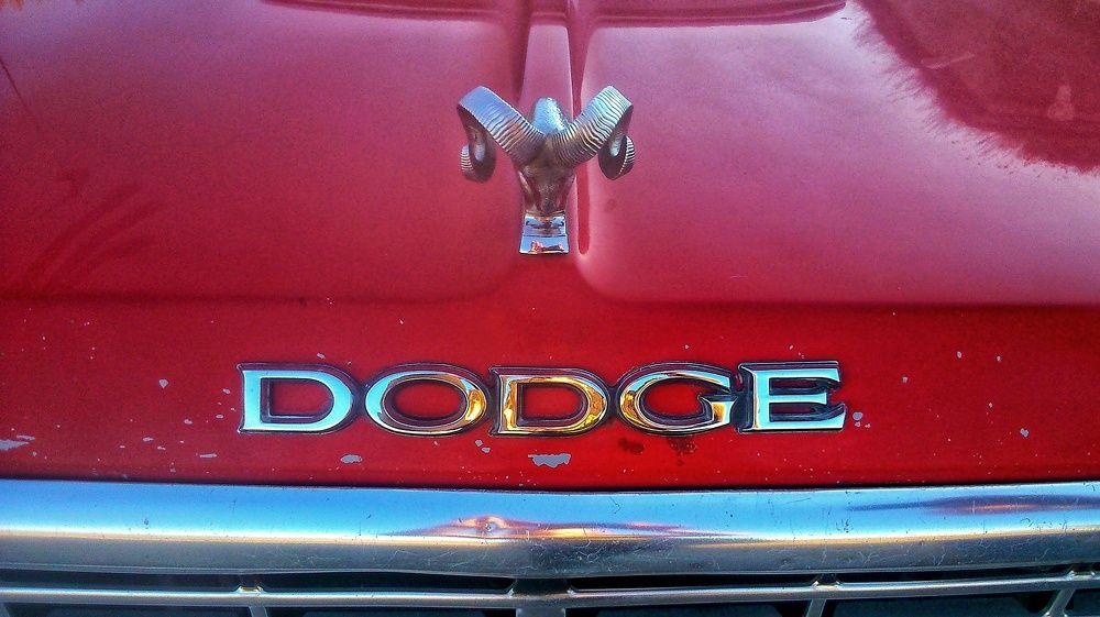 Photograph by Надежда