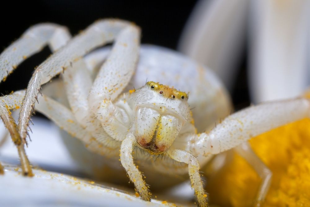 Photograph by Юлия Гаранина