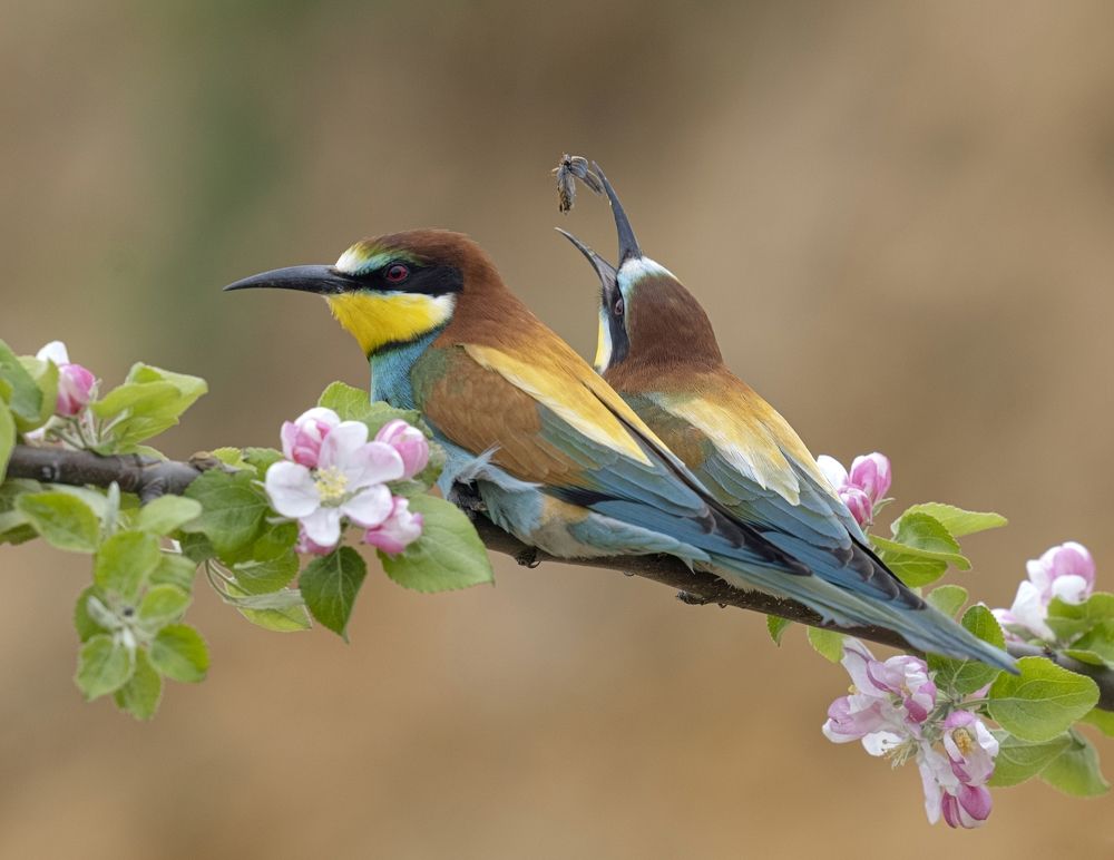 Photograph by Олег Есиков