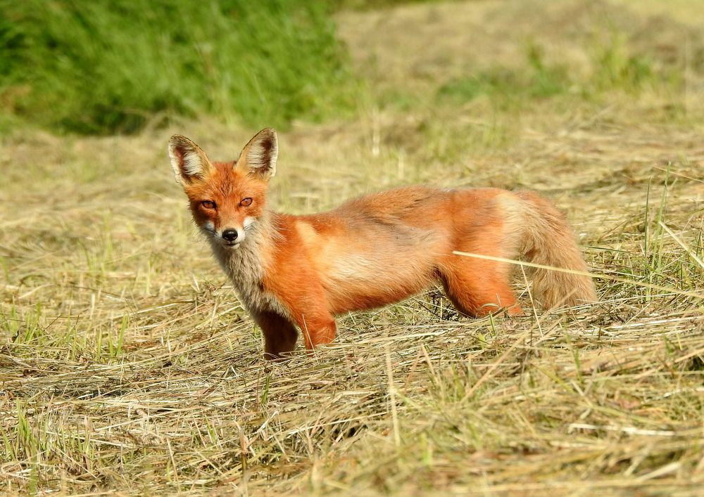Photograph by Татьяна Калугина