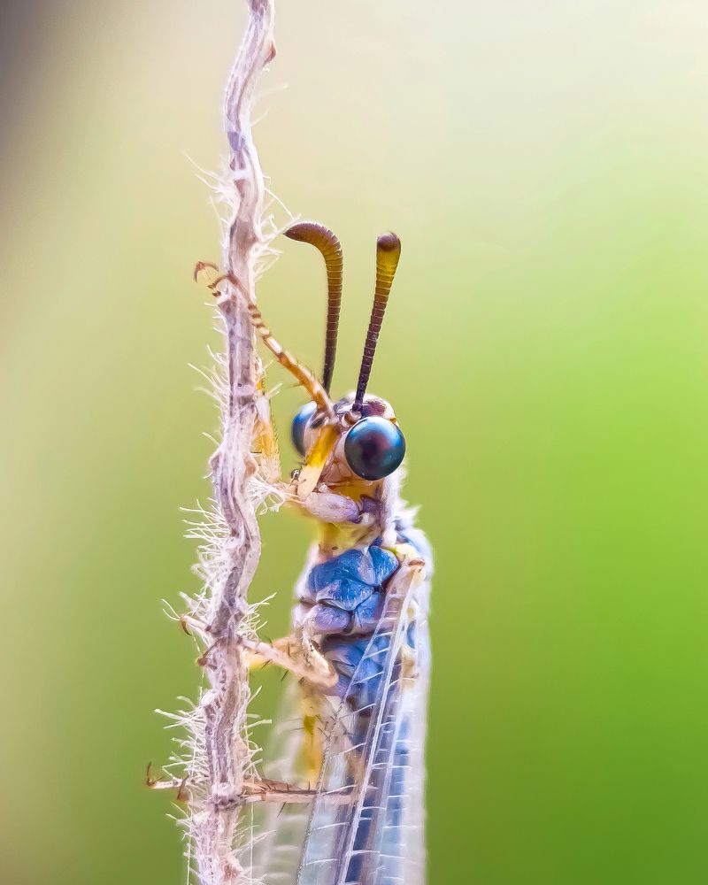 Photograph by amn_graphy_