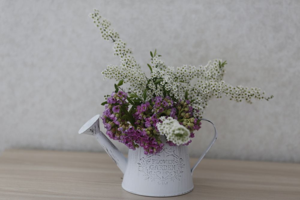 Photograph by Елена Буканина