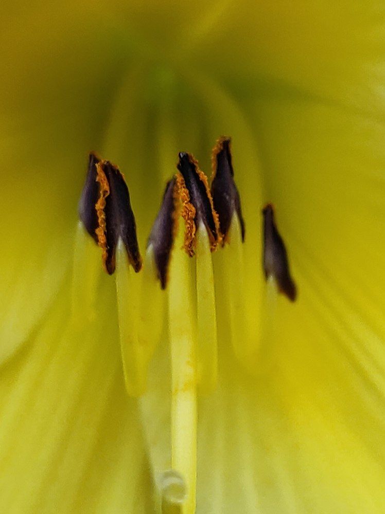 Photograph by Луиза Баширова