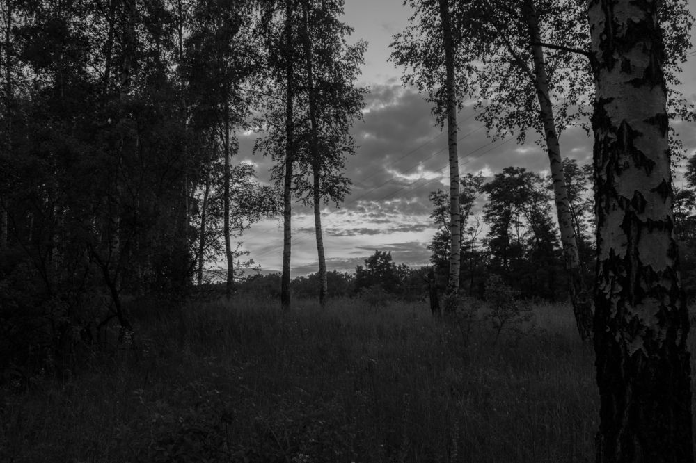 Photograph by Игорь Ххх