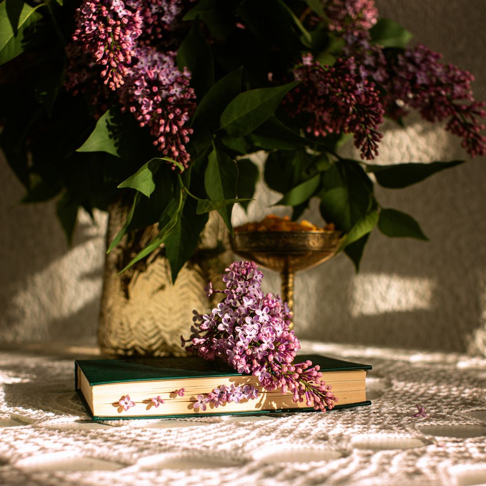 Photograph by ellen_fon_svet