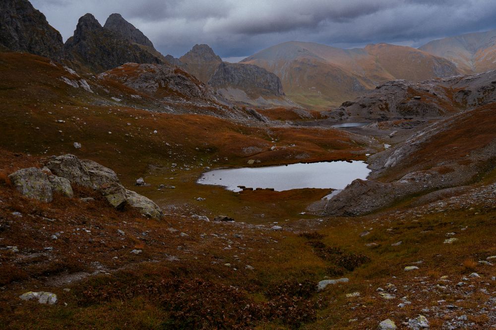 Photograph by Елена Шевченко