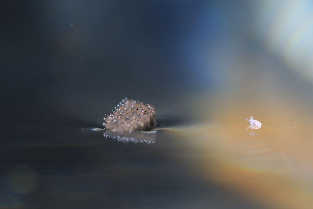 Photograph by José Granizo