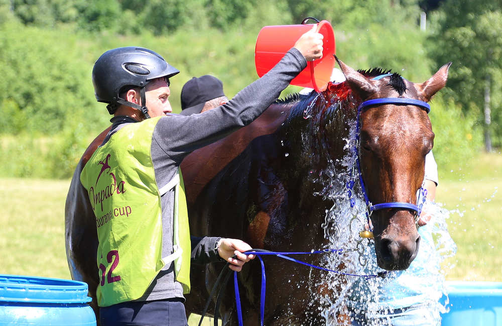 Photograph by Юлия Дудкова