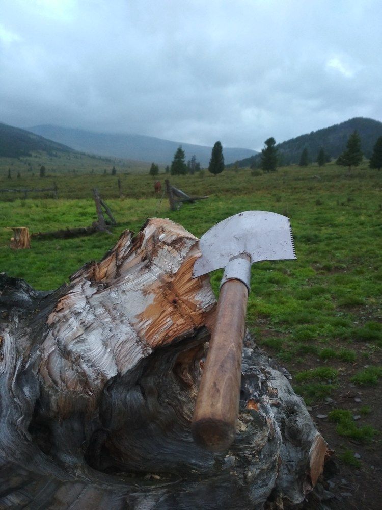 Фотография автора Юлия