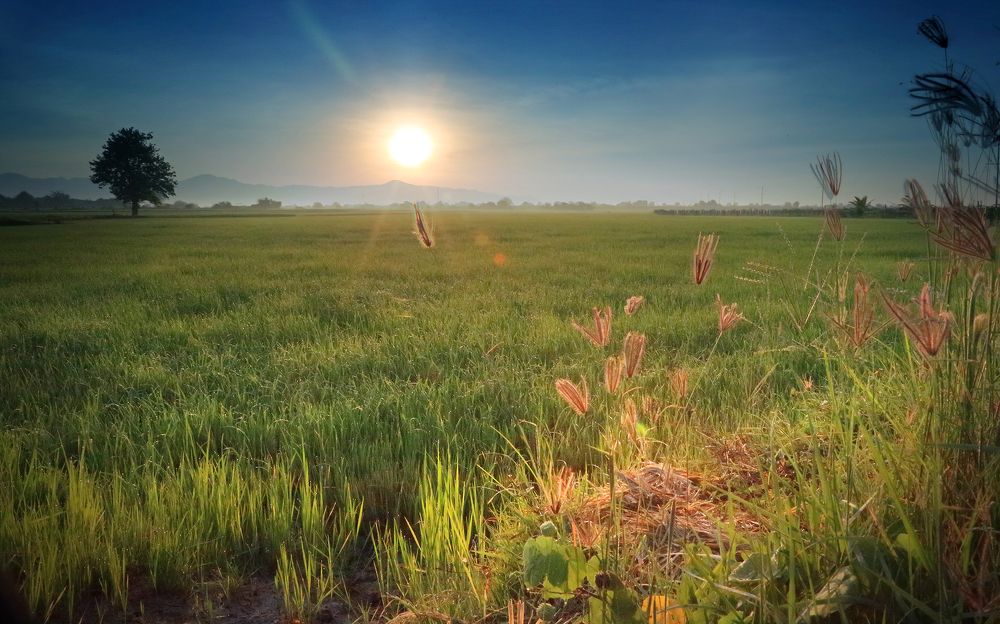 Photograph by Xuan Quyen Nguyen