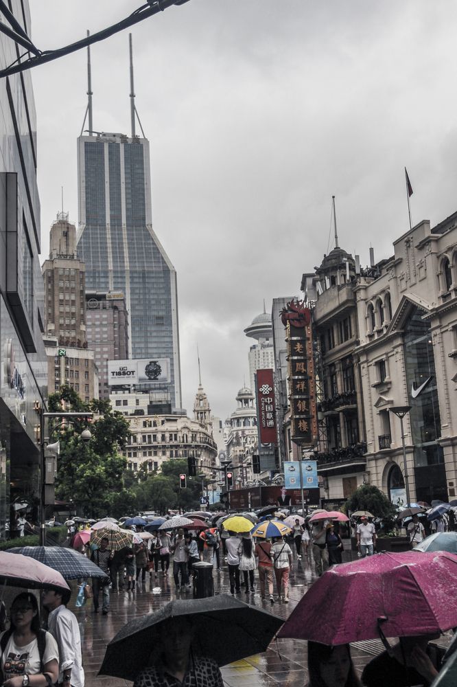 Photograph by Timur Korotkov