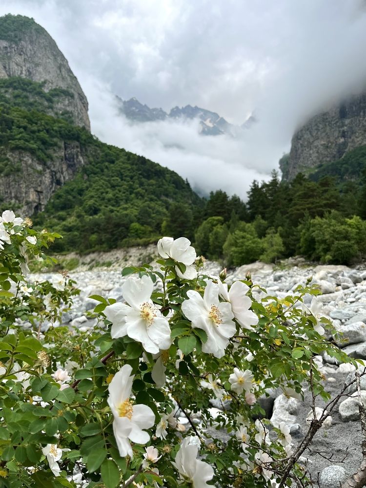 Фотография автора Валентина Бирина