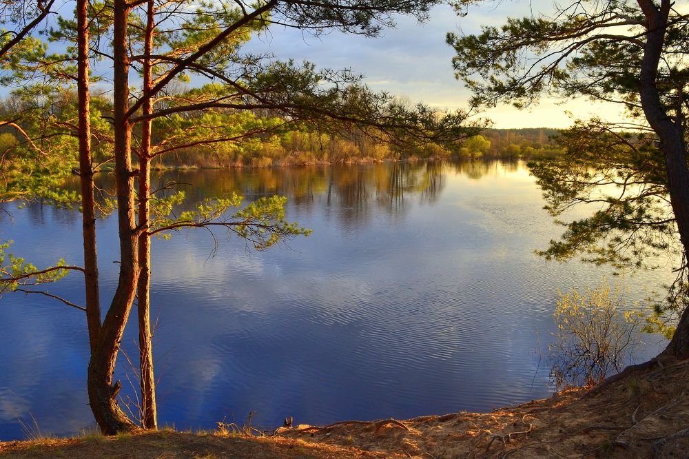 Photograph by Андрей Москалев