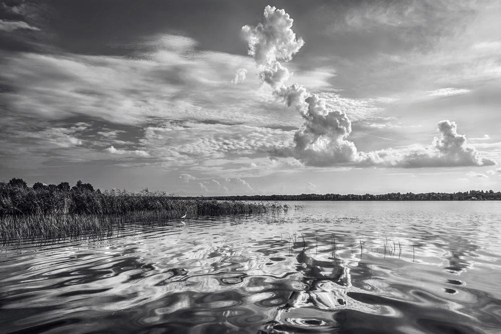 Photograph by Марина Ческис