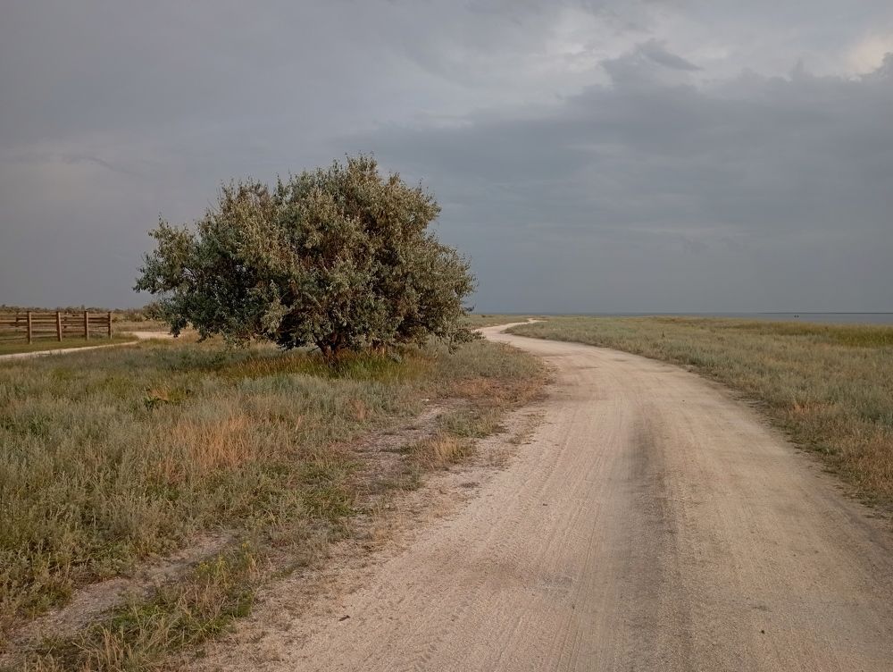 Вне времени