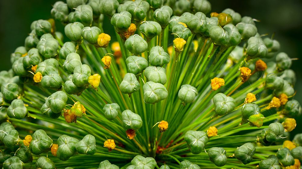 Photograph by Aleksandr Belov