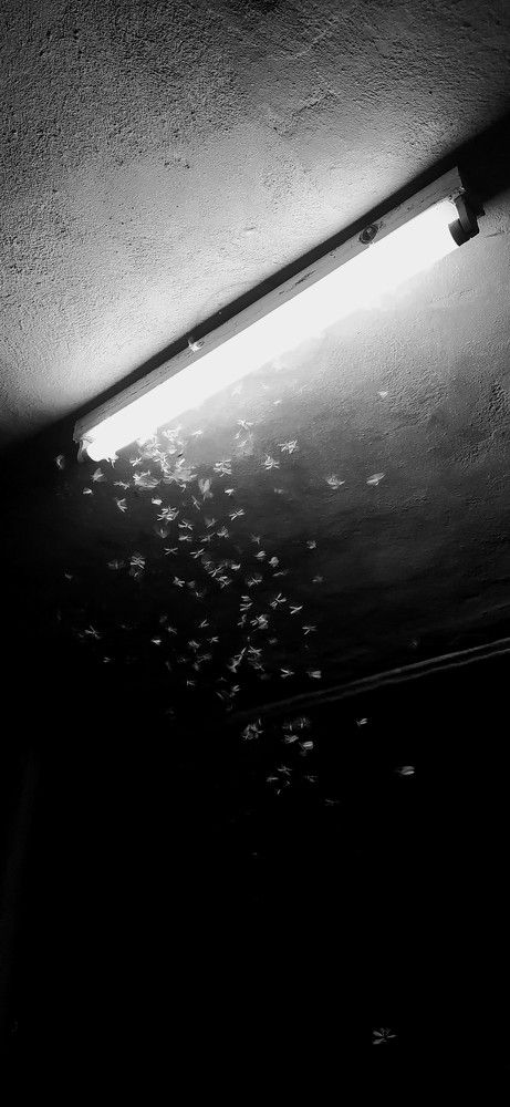 Фотография автора Liuva