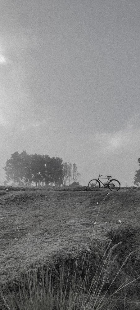 Photo #7793347