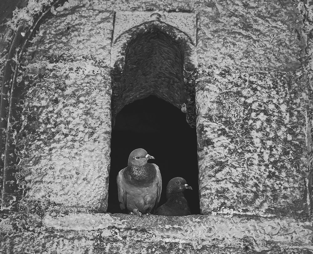 Photo #7793351
