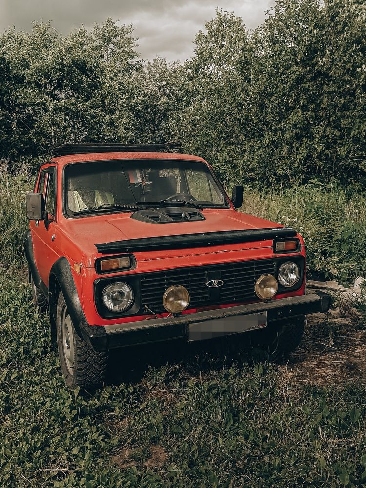 Photograph by Ирина Забродина