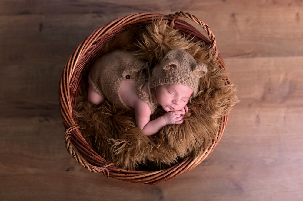 Фотография автора Katerina Zlateva