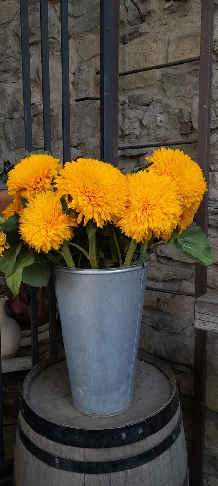 Фотография автора Revaz Topuria