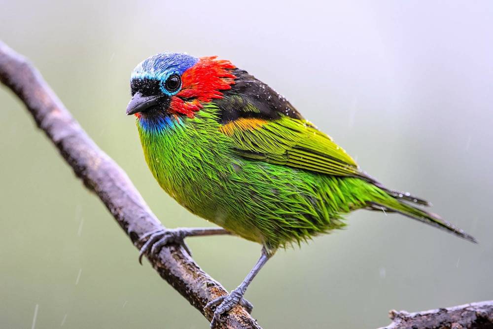 Photograph by Eduardo Bom