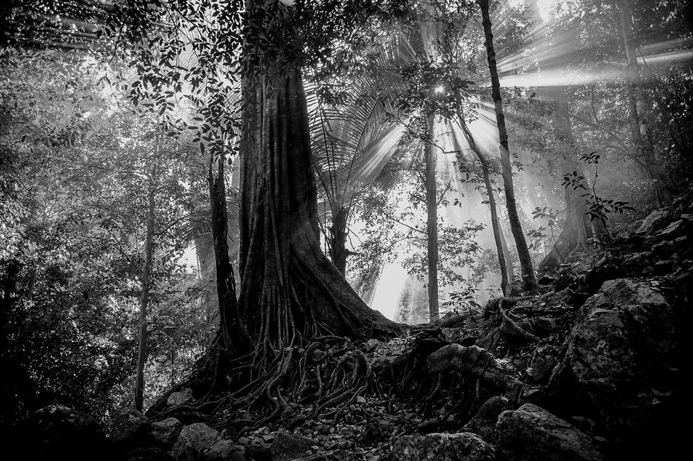 Photograph by HuyDang