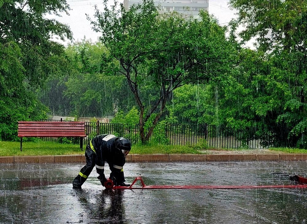 Фотография автора Мария Коледа