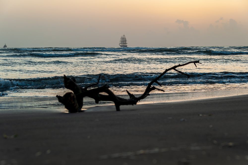 Photograph by Armando Lopez-Guerrero