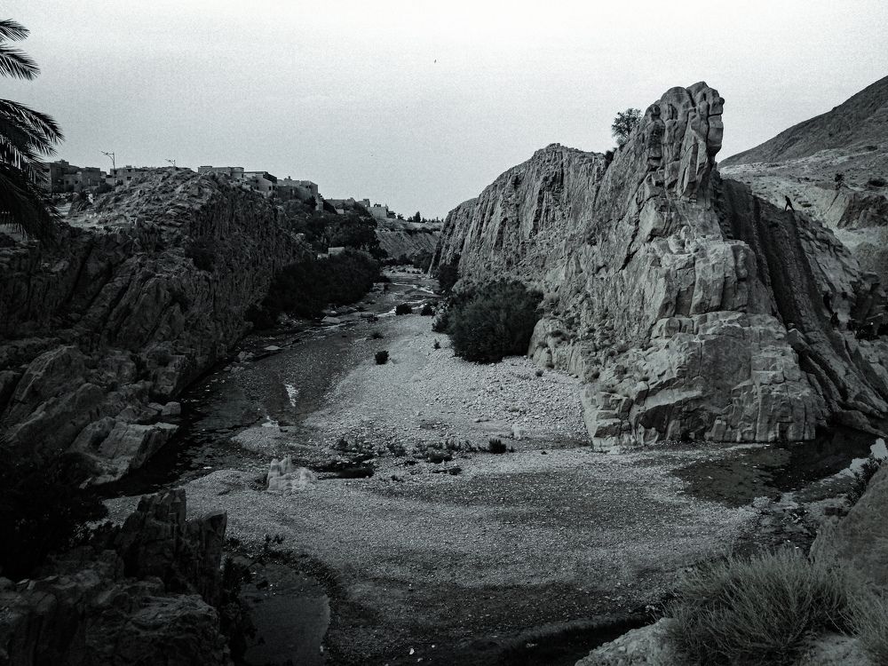 Photograph by Thameur Dahmani