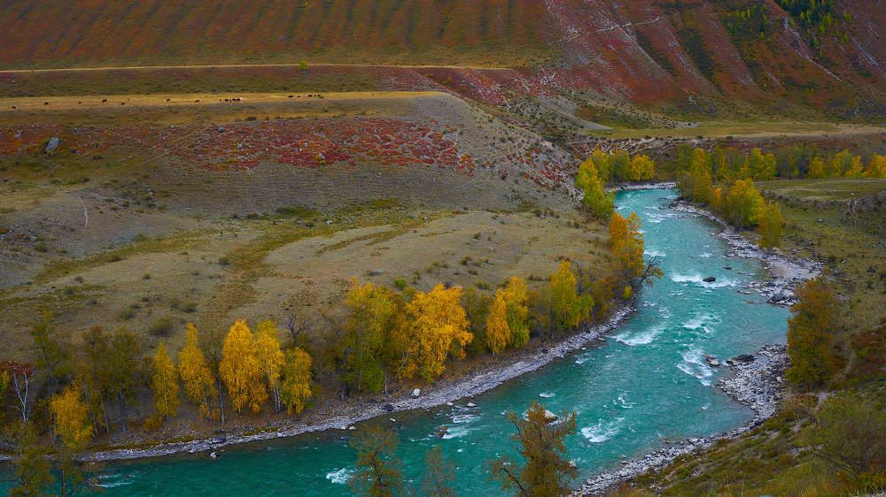 Фотография автора Aleksandr Medvedev