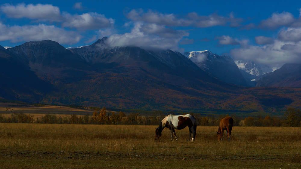 Фотография автора Aleksandr Medvedev