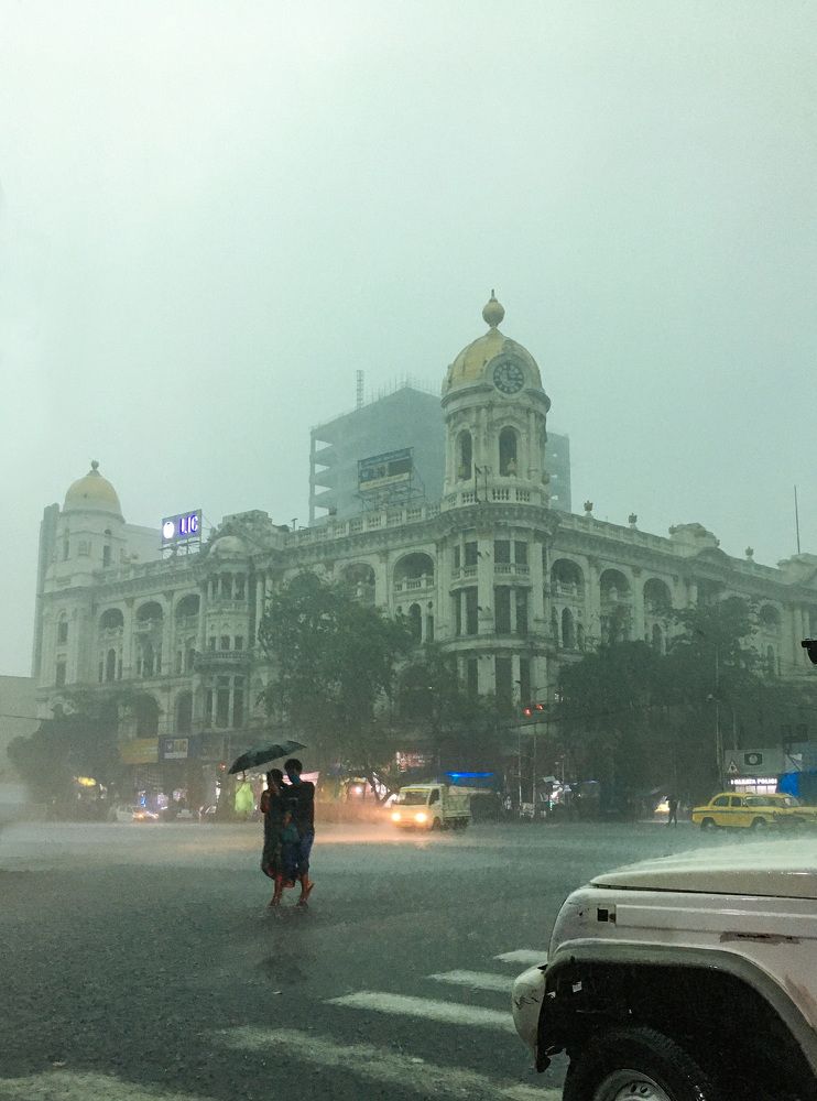 Love birds & monsoon