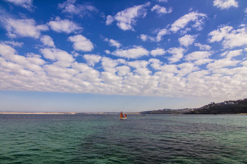 Photograph by Subhasis Paul