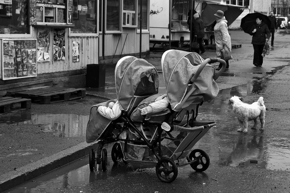 Дождливый денек