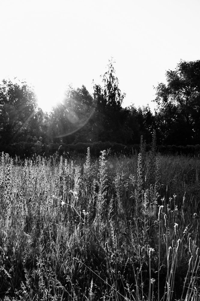 Photograph by Елена Антонова