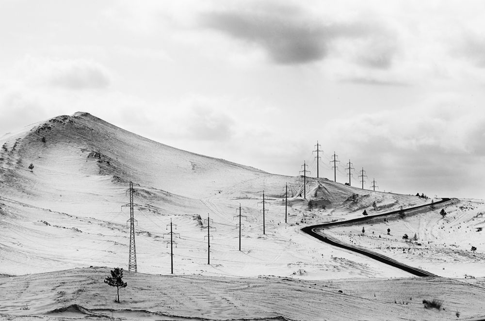 Фотография автора Лариса Кисурина